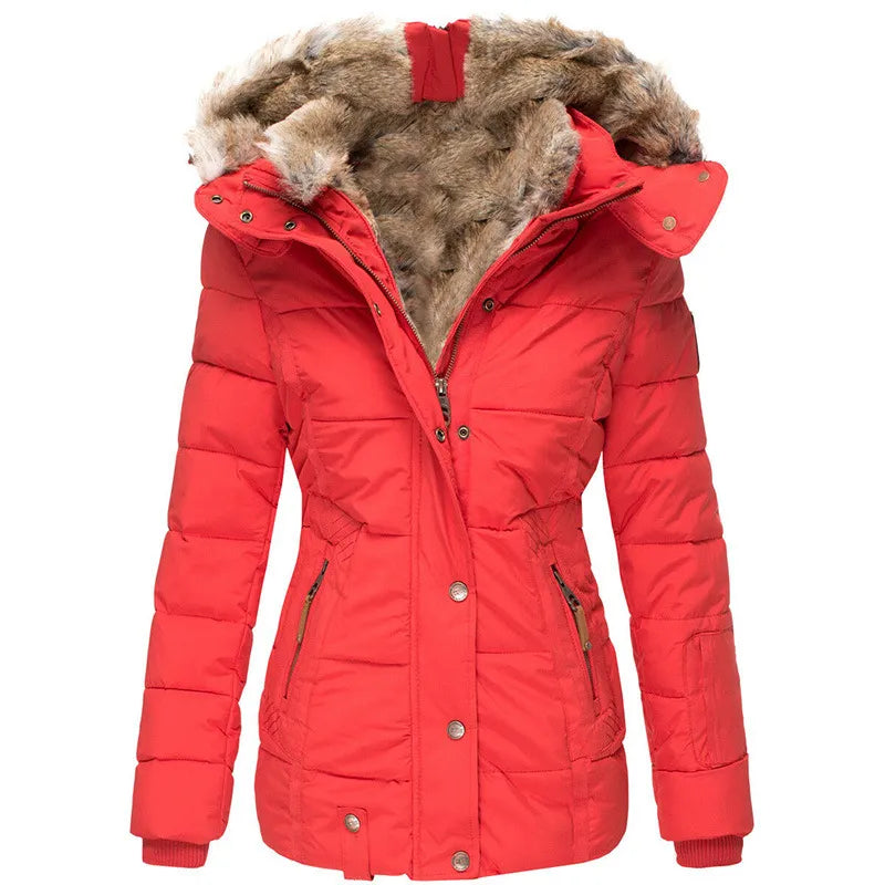 Femme Manteau Long Élégant à Capuche et Manches Longues